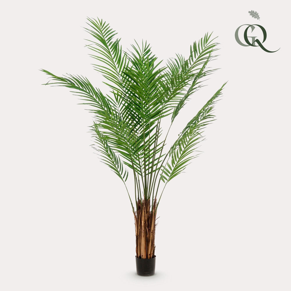 Areca Lutescens - Goldpalme - 180 cm - kunstpflanze-Plant-Botanicly
