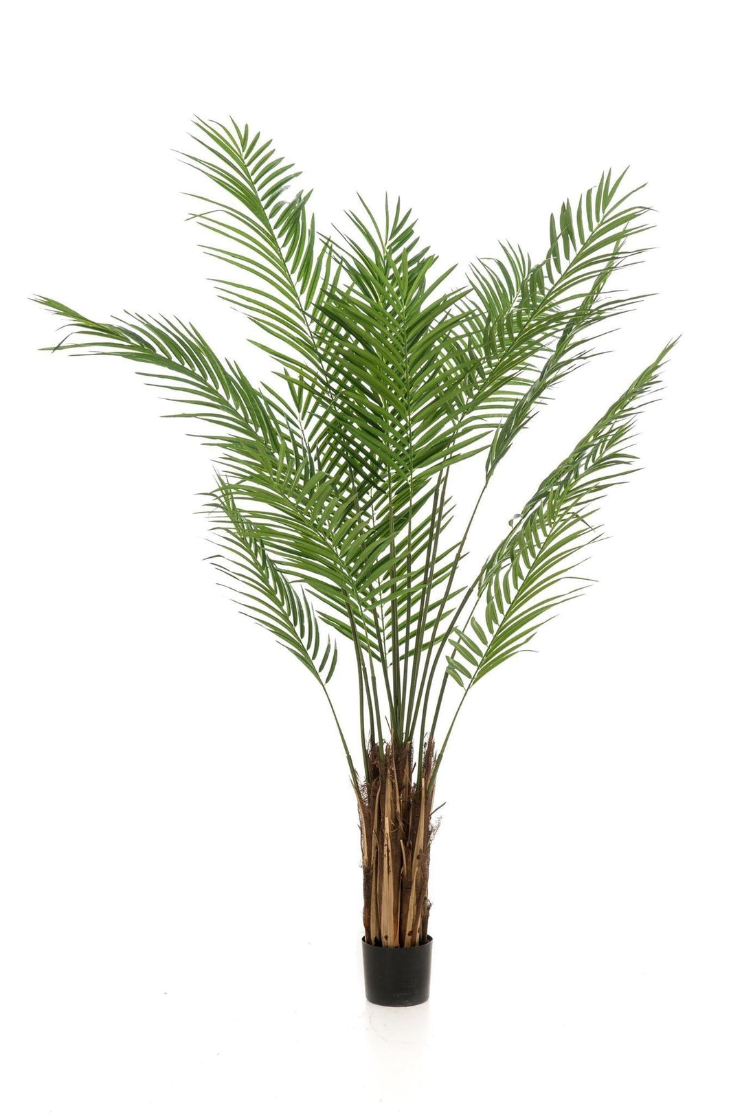 Areca Lutescens - Goldpalme - 180 cm - kunstpflanze-Plant-Botanicly