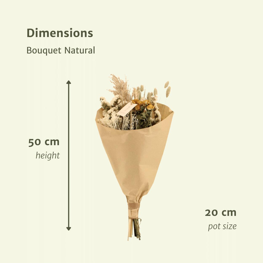 Bouquet Natural - Trockenes Bouquet - 50cm - Ø20-Plant-Botanicly