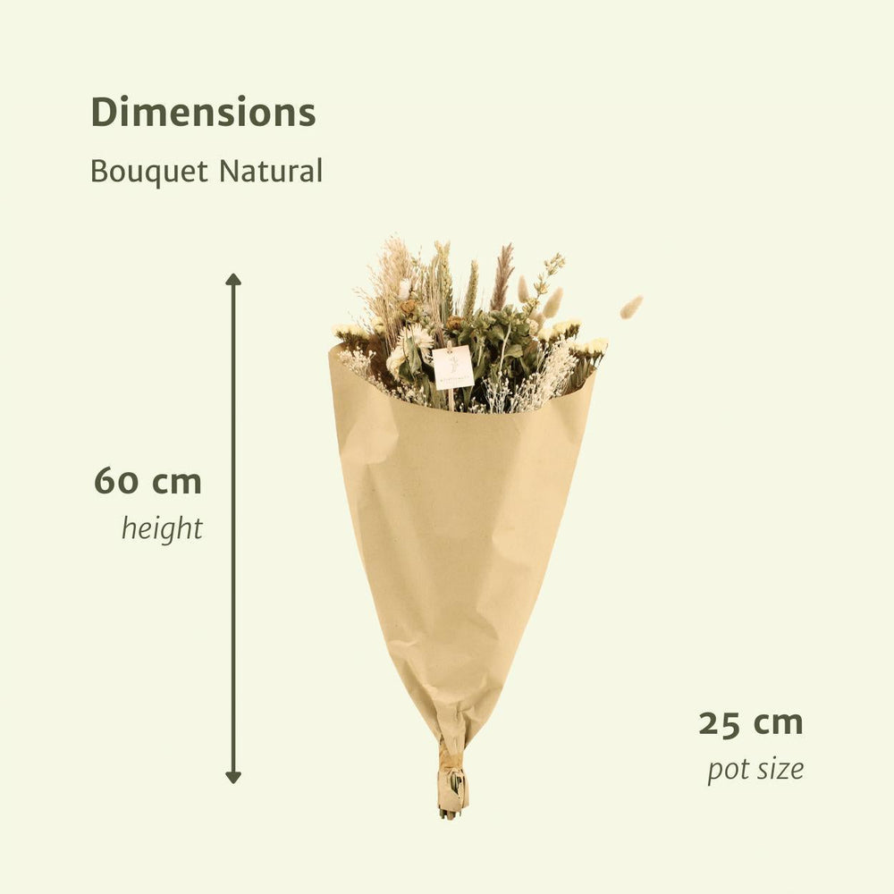 Bouquet Natural - Trockenes Bouquet - 60cm - Ø25-Plant-Botanicly