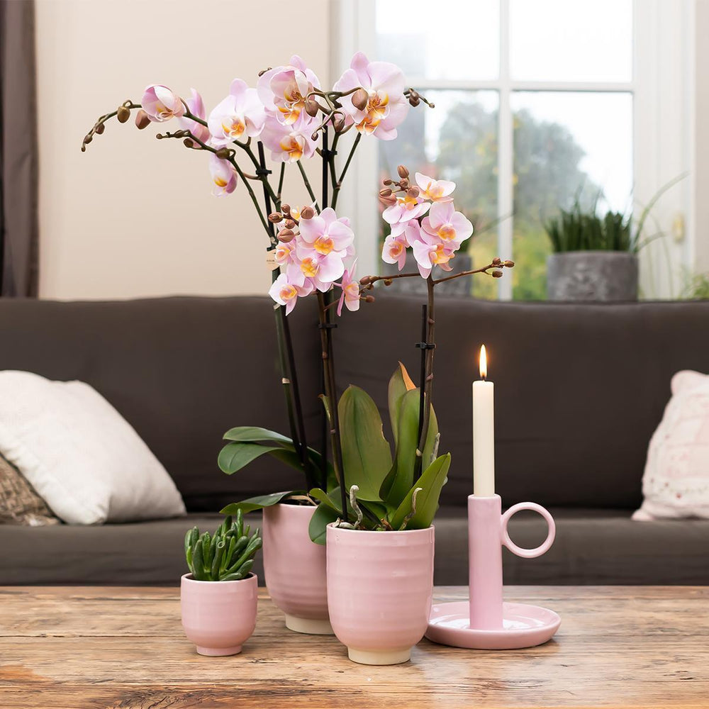 Kolibri Home | Blumentopf glasiert - rosa Keramik-Topf mit Glanz - Topfgröße Ø6cm-Plant-Botanicly