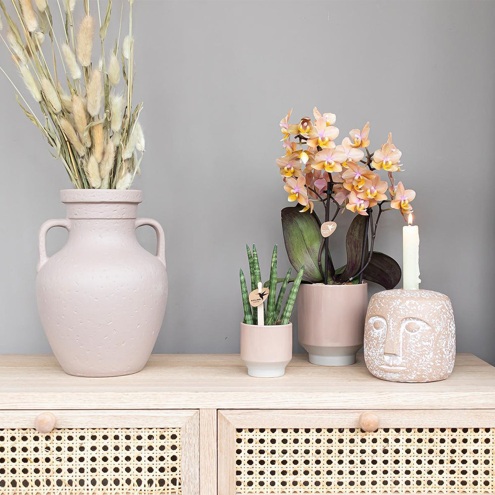 Kolibri Home | Harmony Blumentopf - Sandfarbener dekorativer Keramiktopf - Topfgröße Ø12cm-Plant-Botanicly