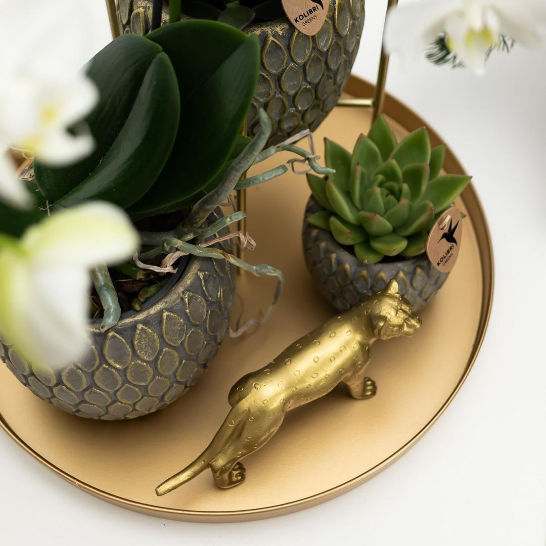 Kolibri Home | Ornament - Goldverzierung Jaguar-Plant-Botanicly