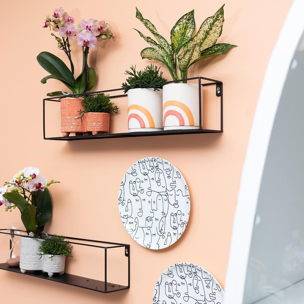 Kolibri Home | Rainbow peach flowerpot - cremefarbener Keramiktopf mit Druck - Topfgröße Ø9cm-Plant-Botanicly