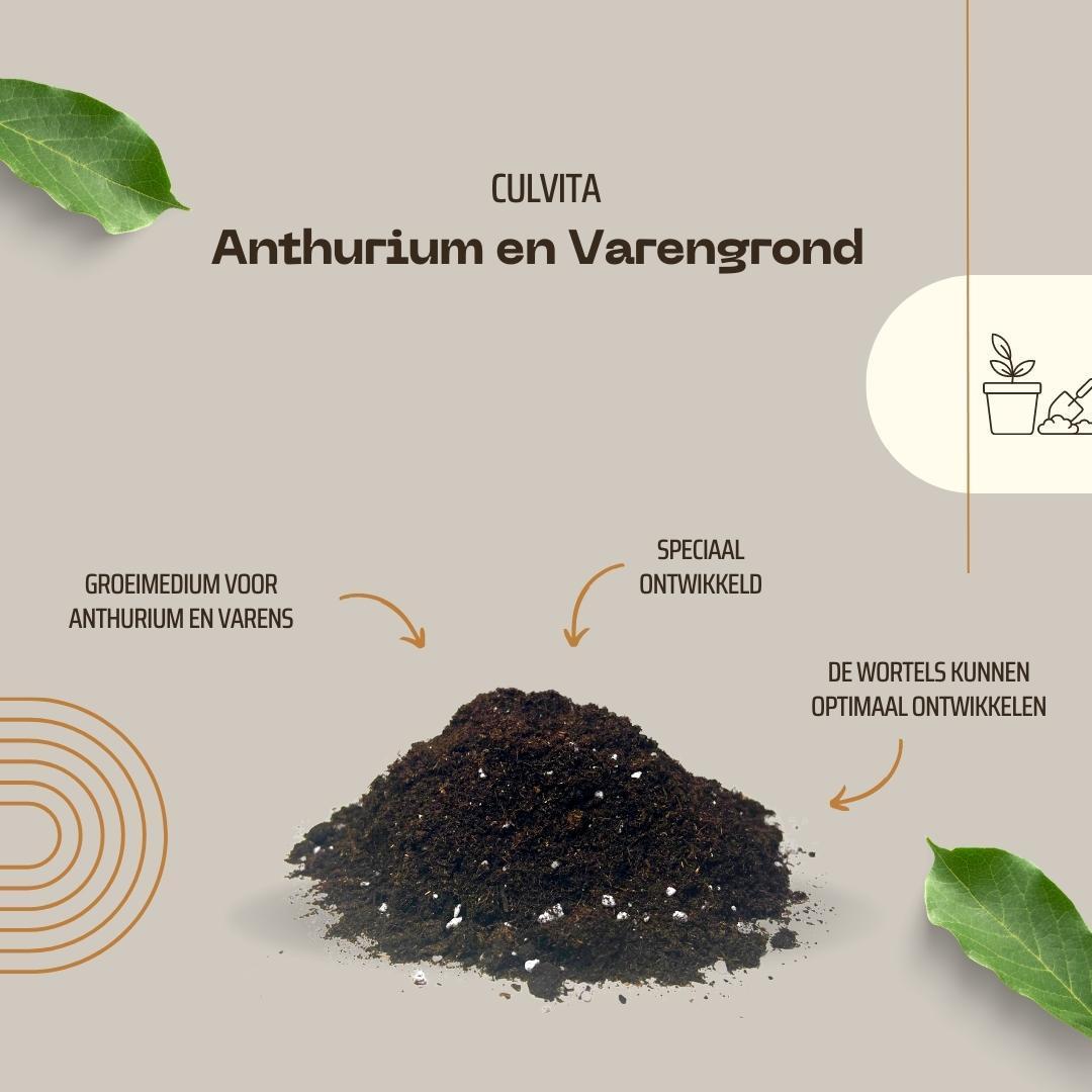 Culvita - Anthurium and Fernerde 5 Liter - Blumenerde für Anthurium und Farne