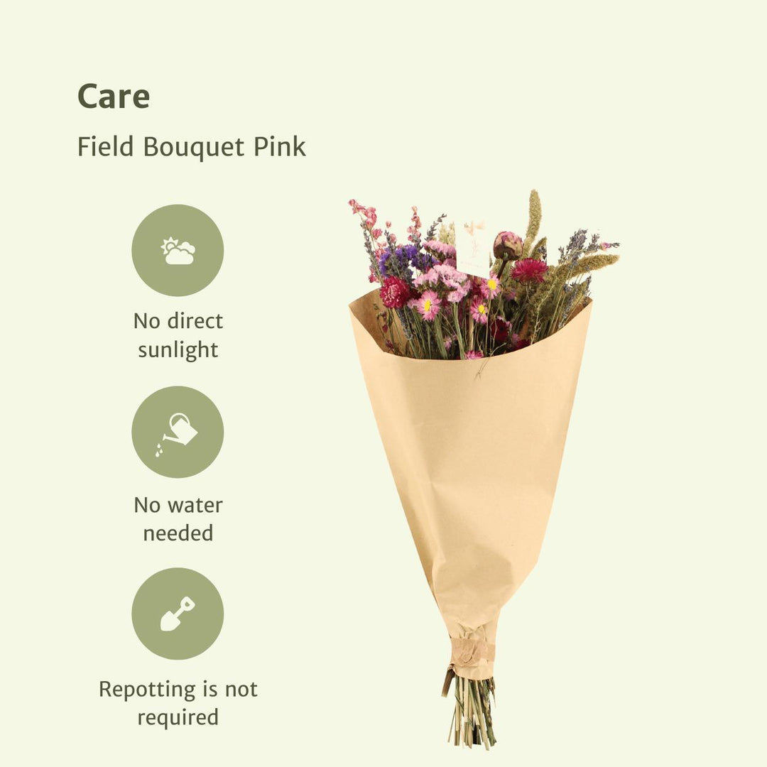 10xField Bouquet Pink - Droogboeket - 50cm - Ø20